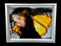 SUZANNE BANNING "LOLITA (METAMORPHOSIS 1)"