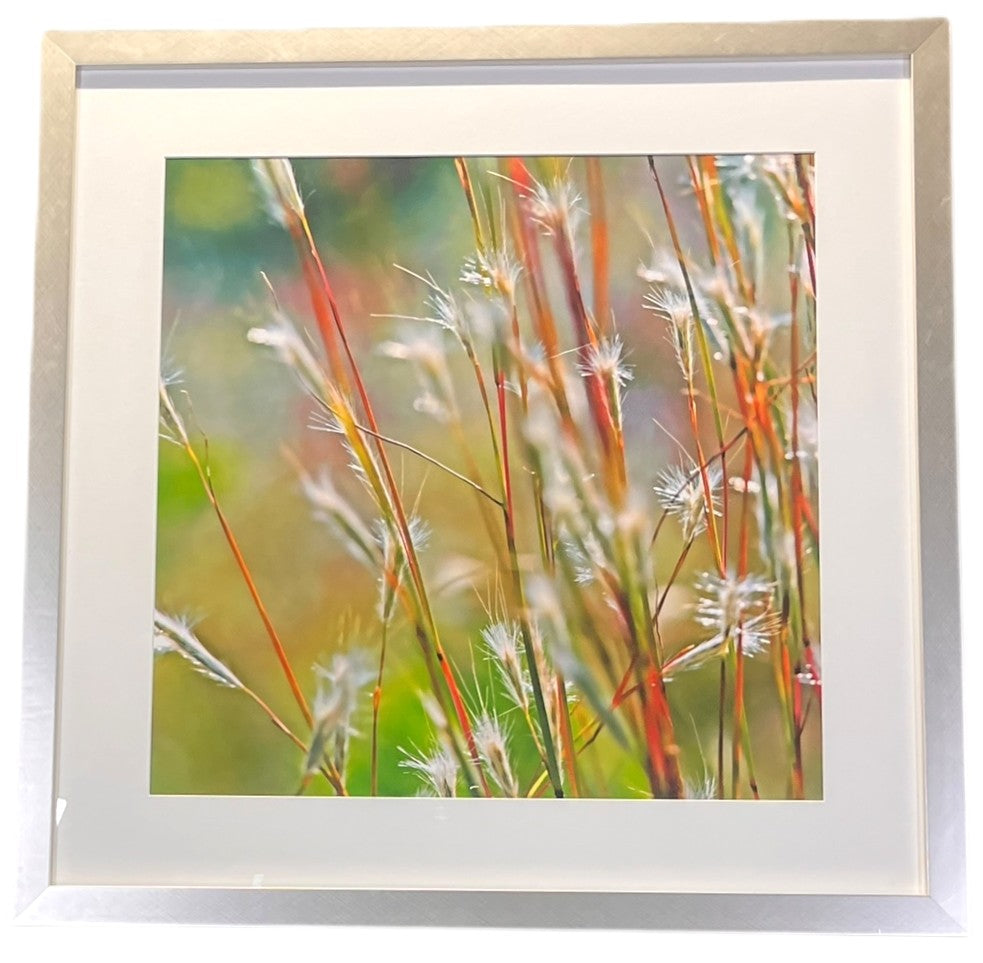 KEN BREMER "SUMMER GRASS" PHOTOGRAPH