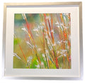 KEN BREMER "SUMMER GRASS" PHOTOGRAPH
