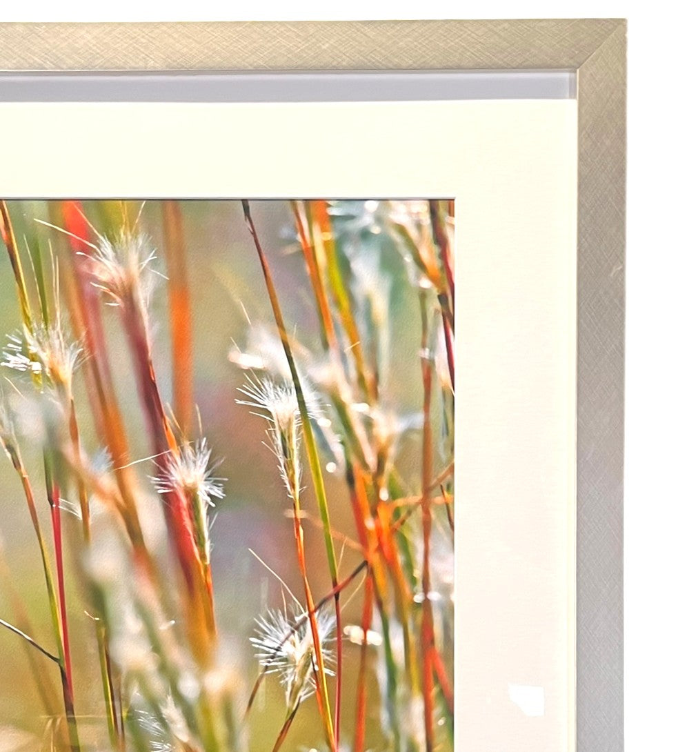 KEN BREMER "SUMMER GRASS" PHOTOGRAPH