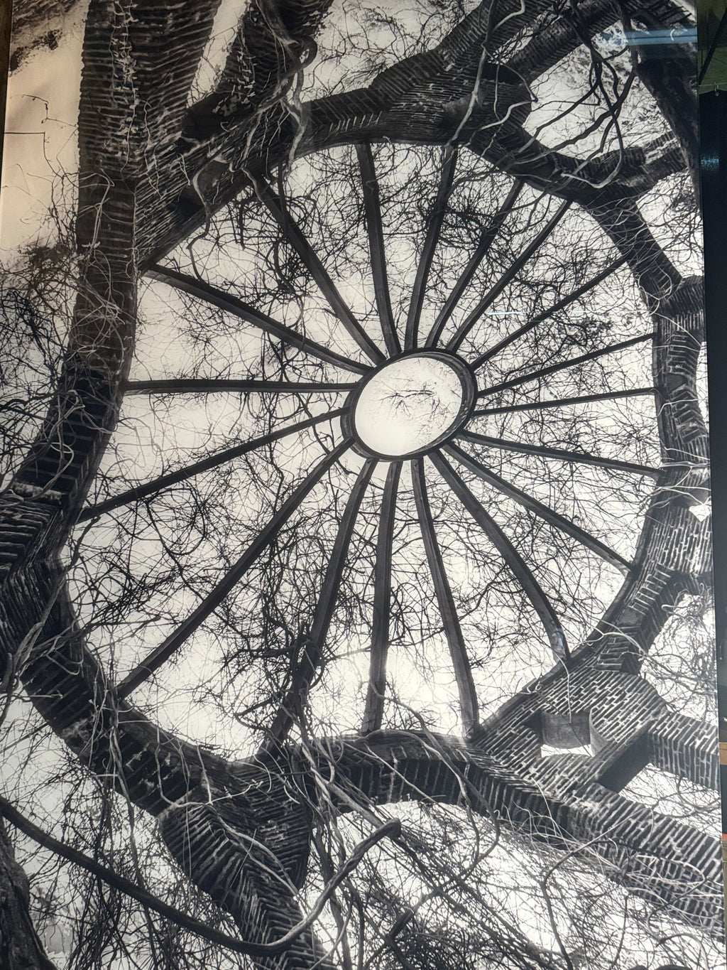 BLACK AND WHITE NATURAL SPIRAL ON LUCITE