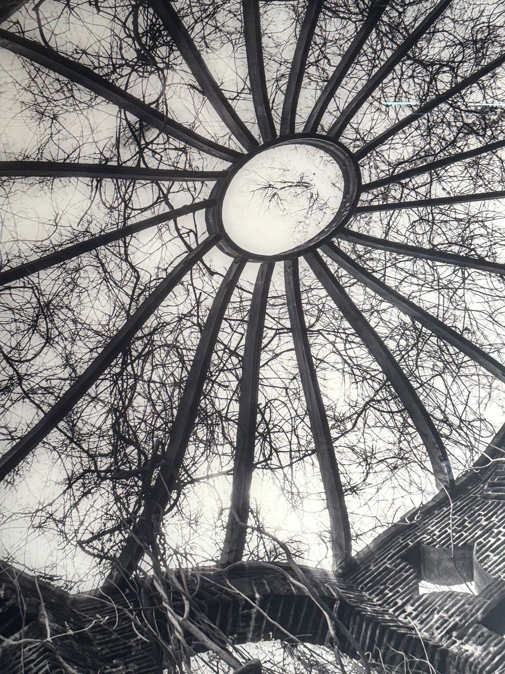 BLACK AND WHITE NATURAL SPIRAL ON LUCITE