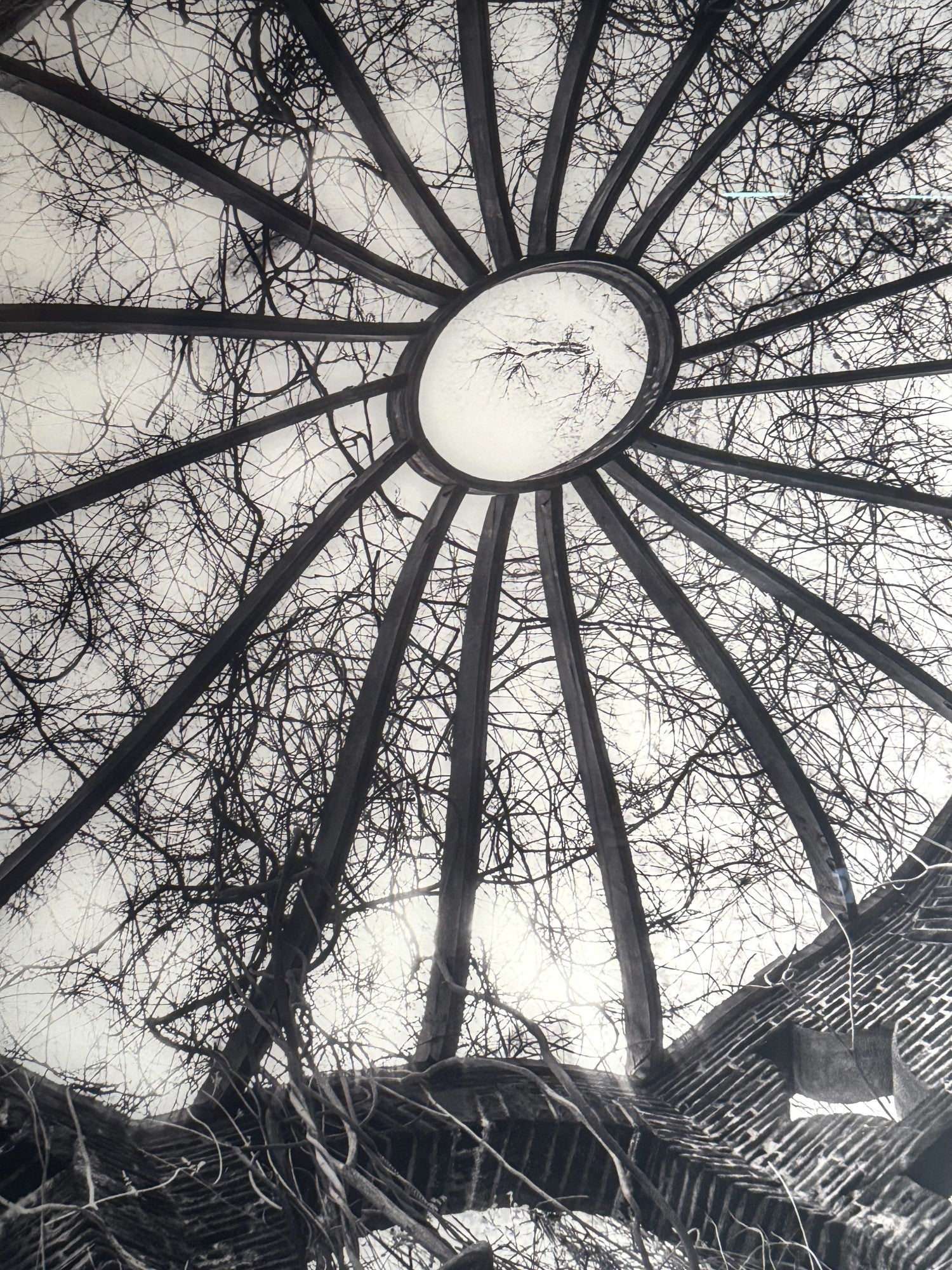 BLACK AND WHITE NATURAL SPIRAL ON LUCITE