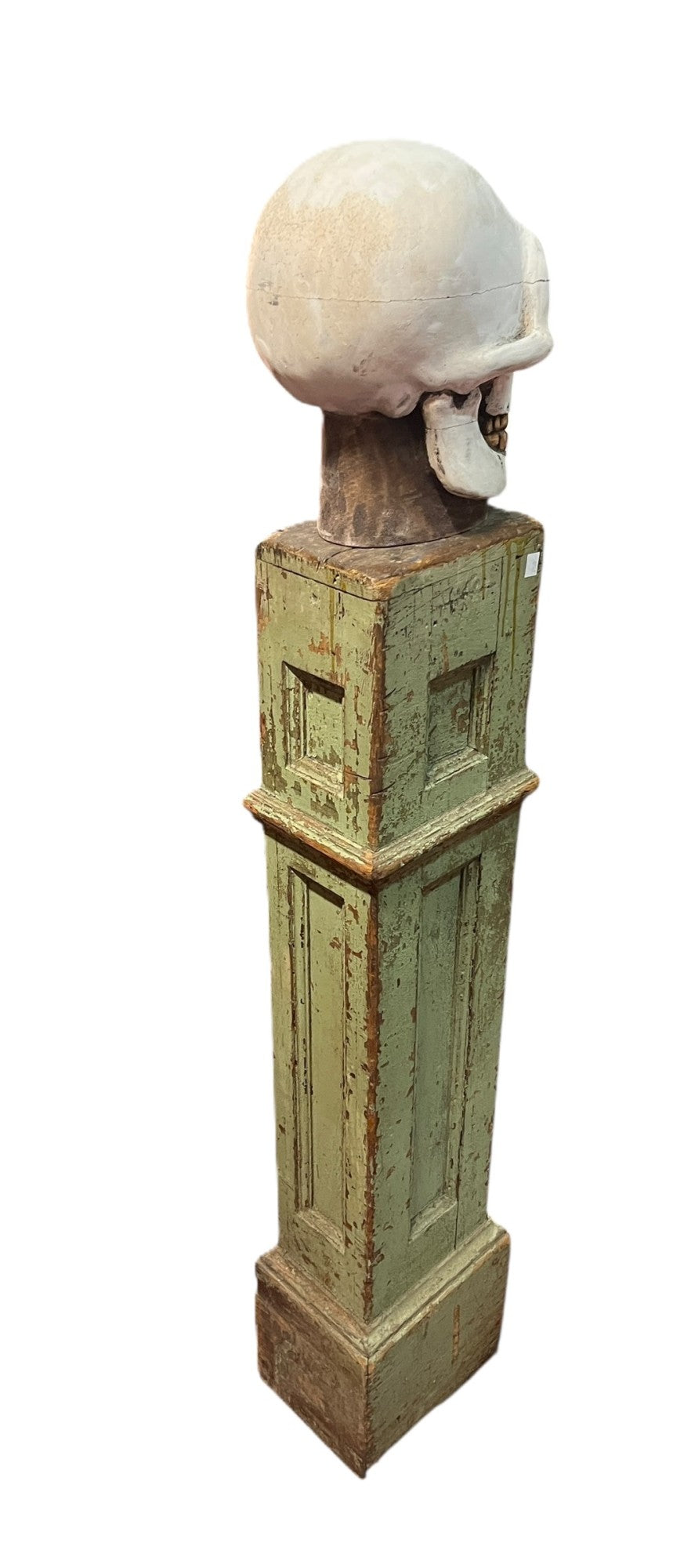 SKULL ON PEDESTAL SIGNED BY DORMAN DAVID 1996