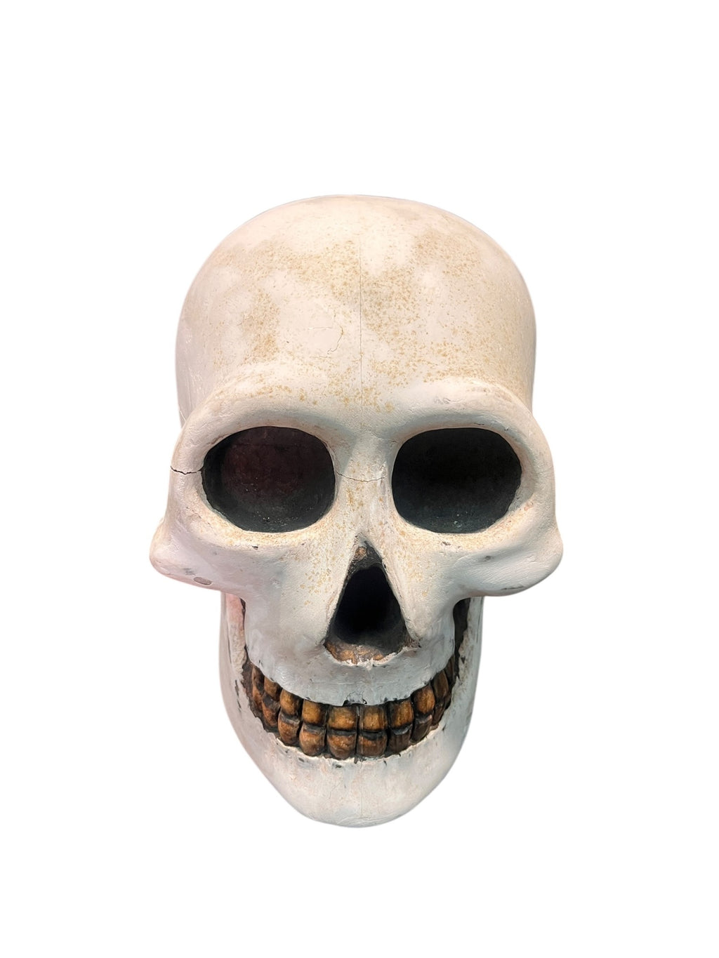SKULL ON PEDESTAL SIGNED BY DORMAN DAVID 1996