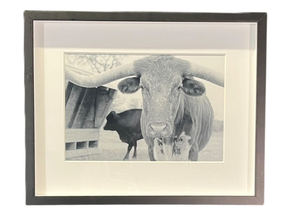 BRITTNAY HANSEN "AMIGO" PHOTOGRAPH